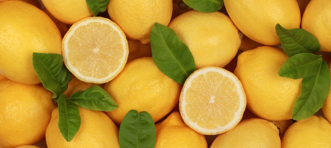 Fresh Lemon From Al Saif Elite Co. for Export