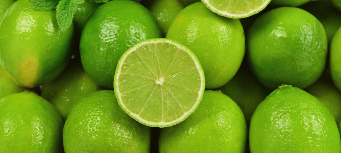 Fresh lime From Al Saif Elite Co. for Export